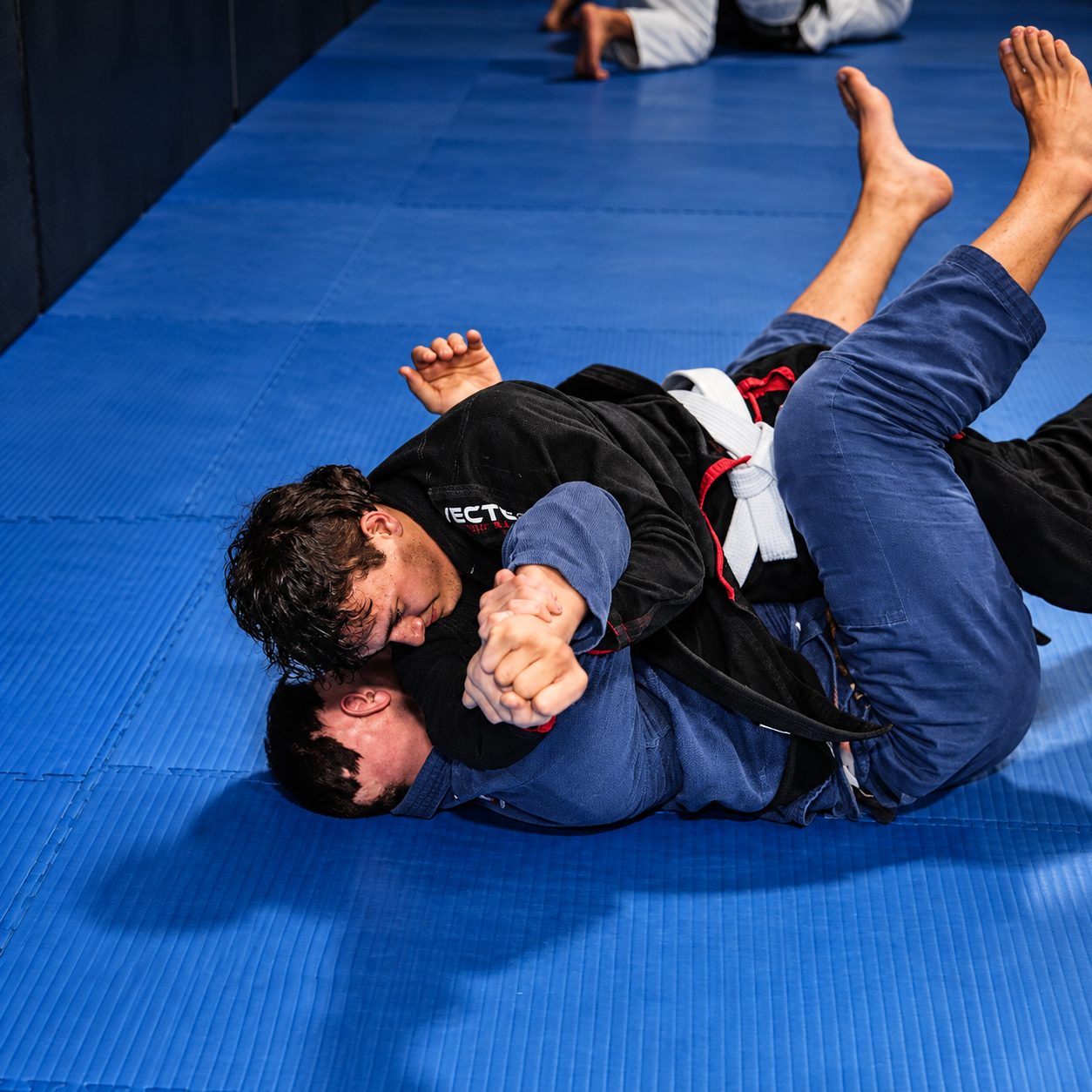 Sparring con il kimono, controllo a terra tra kimono nero e kimono blu