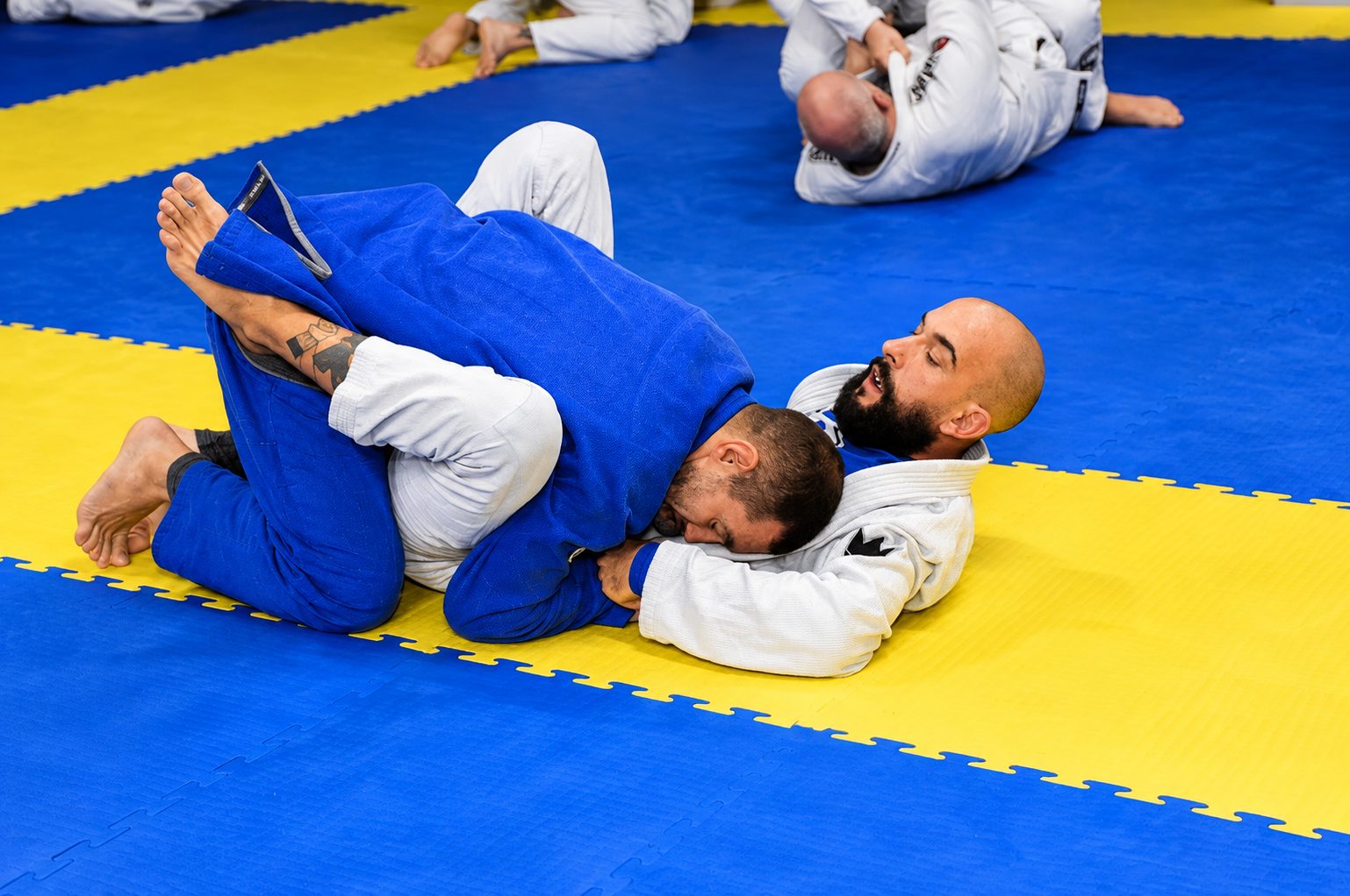 Brazilian Jiu Jitsu Matside all'Arcella, Padova